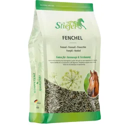 Fenchel Samen Zusatzfutter Nahrungsergänzungsmittel