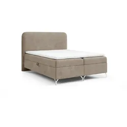 BOXBETT Emilio In überlänge