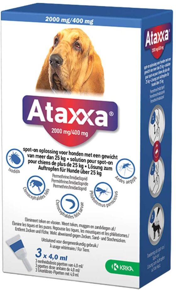 Ataxxa 2000 mg/400 mg Lösung zum Auftropfen für Hunde über 25kg