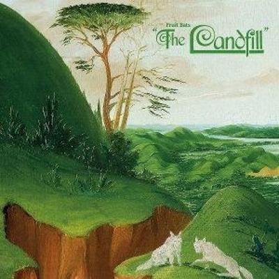the landfill - Fruit Bats, CD