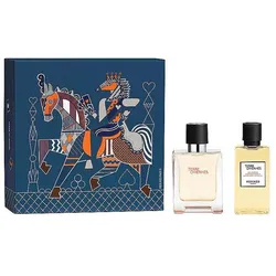 Hermès, Beauty Geschenkset, Herms Terre D'Herms Eau De Toilette 50 Ml Spray Shower Gel 40 Ml (Parfum Set)