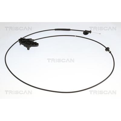 TRISCAN Motorhaubenzug 8140 16601 für Ford