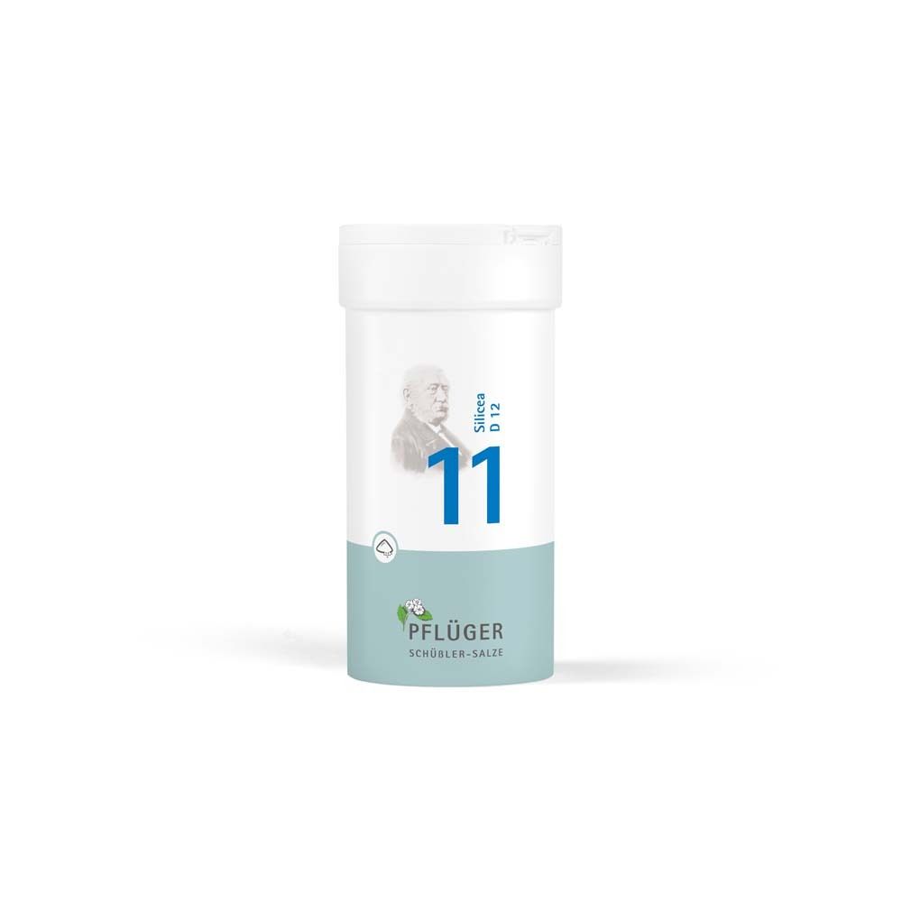 Biochemie Pflüger 11 Silicea D 12 Pulver 100 g