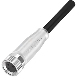 Balluff Steckverbinder M8 BCC0AWC#BCC M313-000