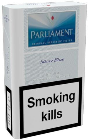 Parliament Silver Blue - 1 Stange (10x20)