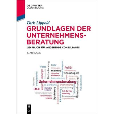 Grundlagen der Unternehmensberatung, Taschenbuch von Dirk Lippold, De Gruyter, 978-3-11-132136-3