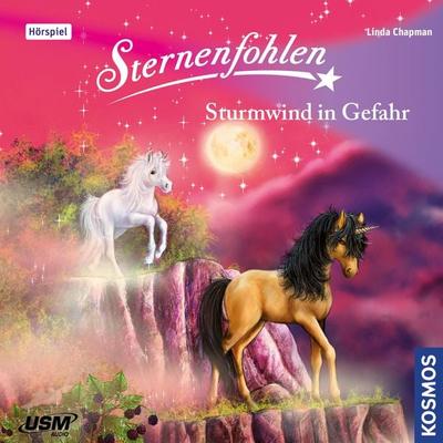 Sturmwind in Gefahr - Linda Chapman, Audio, 4066004600499