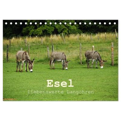 Esel - liebenswerte Langohren (Tischkalender 2027 DIN A5 quer), CALVENDO Monatskalender