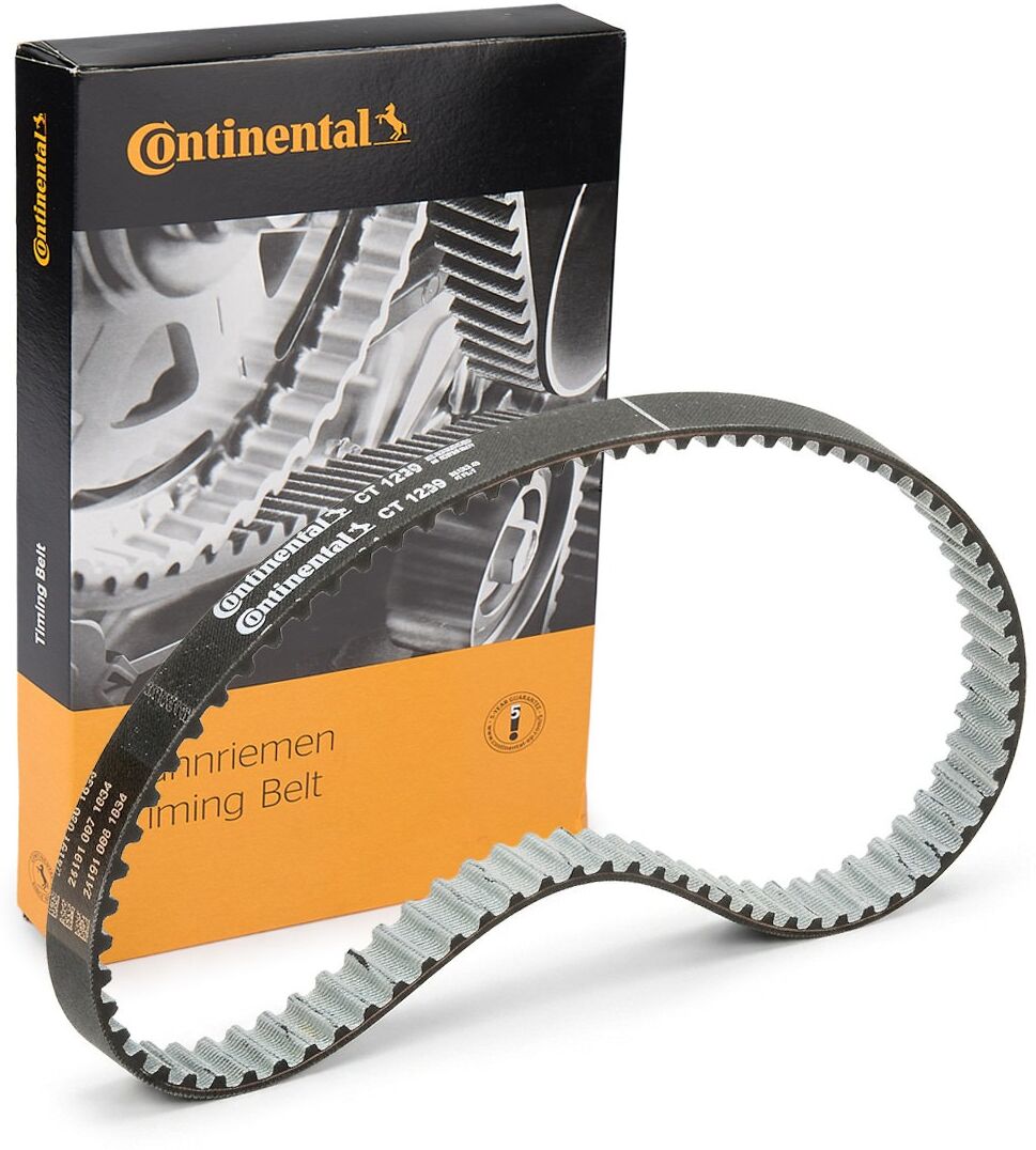 CONTITECH CT1239 Zahnriemen