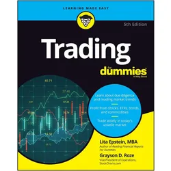 Trading for Dummies, Ratgeber von L Epstein
