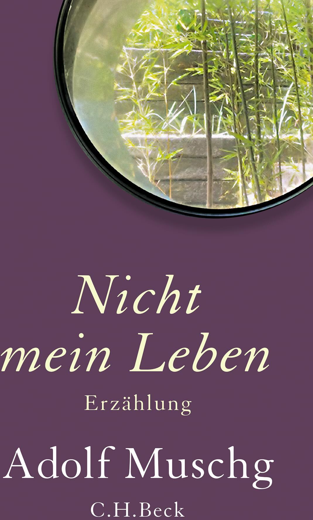Adolf Muschg - Nicht mein Leben: Erzählung - Preis vom 17.10.2026 19:25:27 h
