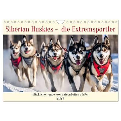 Siberian Huskies - die Extremsportler (Wandkalender 2027 DIN A4 quer), CALVENDO Monatskalender