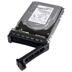 DELL 345-BGVS 480 GB SSD SATA 6Gb/s Read Intensive ISE 2.5" mit 3.5" Hybrid-Träger (345-BGVS)