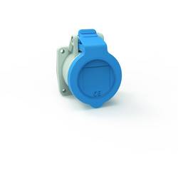 Bals Elektrotechnik 136461-N 136461-N CEE Anbaudose 1 St.