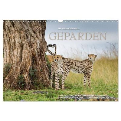 Emotionale Momente: Geparden (Wandkalender 2027 DIN A3 quer), CALVENDO Monatskalender