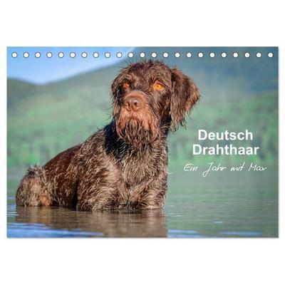 Deutsch Drahthaar - Ein Jahr mit Max (Tischkalender 2027 DIN A5 quer), CALVENDO Monatskalender