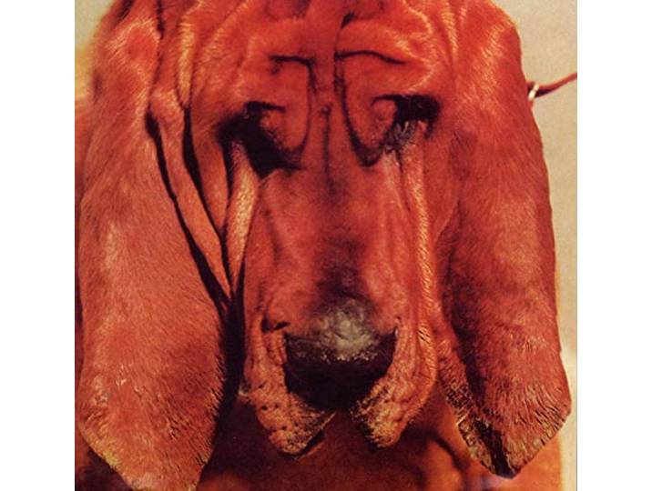 Ty Segall - Goodbye Bread