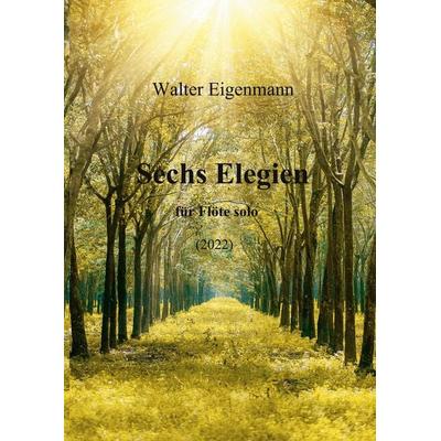 Sechs Elegien für Flöte solo -