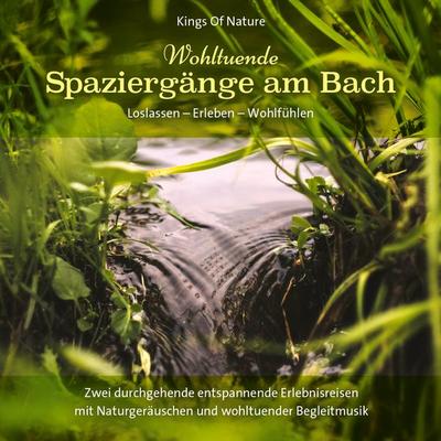 Wohltuende Spaziergänge am Bach - , CD, 9783957665874