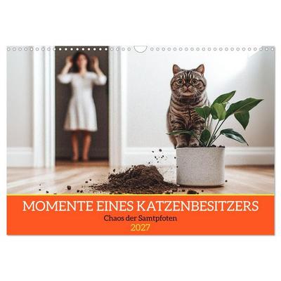 Momente eines Katzenbesitzers - Chaos der Samtpfoten (Wandkalender 2027 DIN A3 quer), CALVENDO Monatskalender
