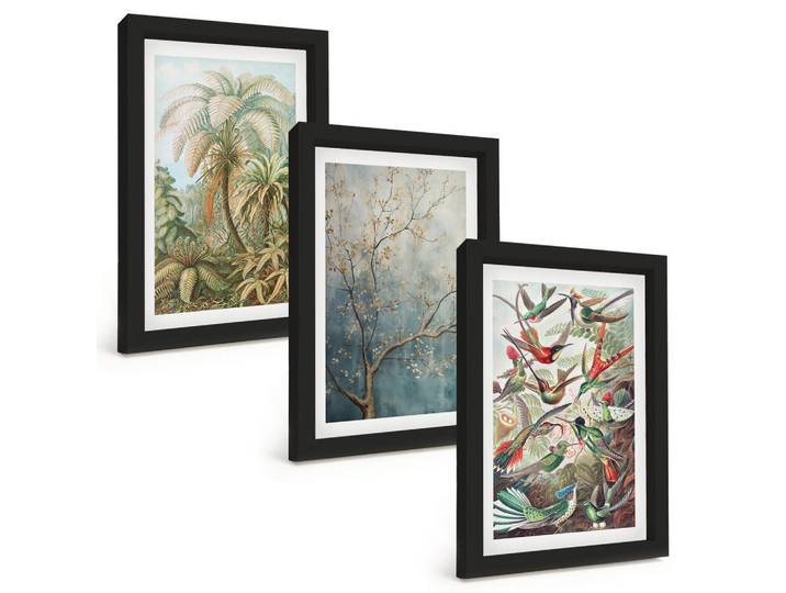 Tulup Bilder SET 3er Set - 20x30 cm Schwarzer Rahmen - Tropische Pflanzen, Vögel, Natur, Kunststoff, Rechteckig, 20x30 cm, gerahmt, Bilder & Rahmen, Bilder