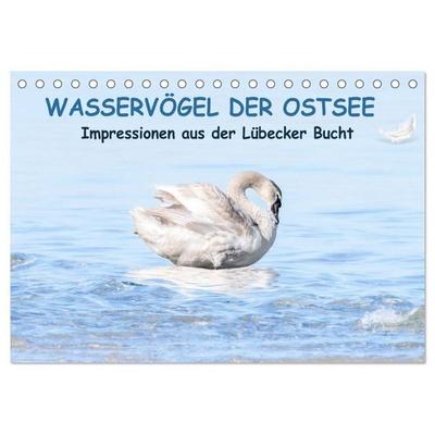 Wasservögel der Ostsee - Impressionen aus der Lübecker Bucht (Tischkalender 2027 DIN A5 quer), CALVENDO Monatskalender