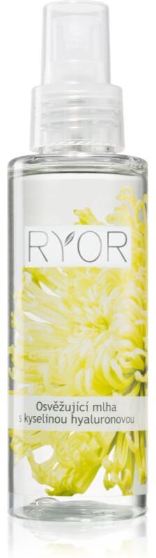 RYOR Face & Body Care refreshing mist with hyaluronic acid 100 ml