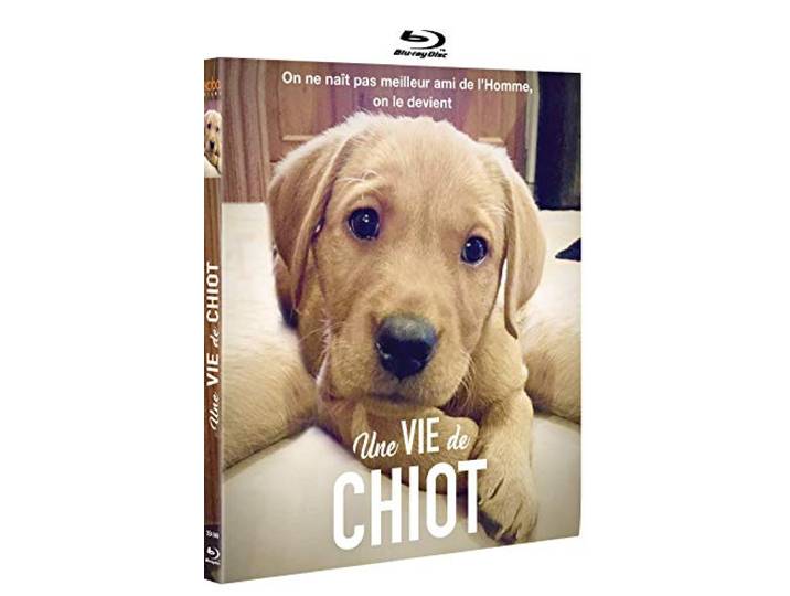 Une Vie De Chiot