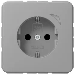 Jung SCHUKO Steckdose 16 A 250V BT CD 1521 S GR