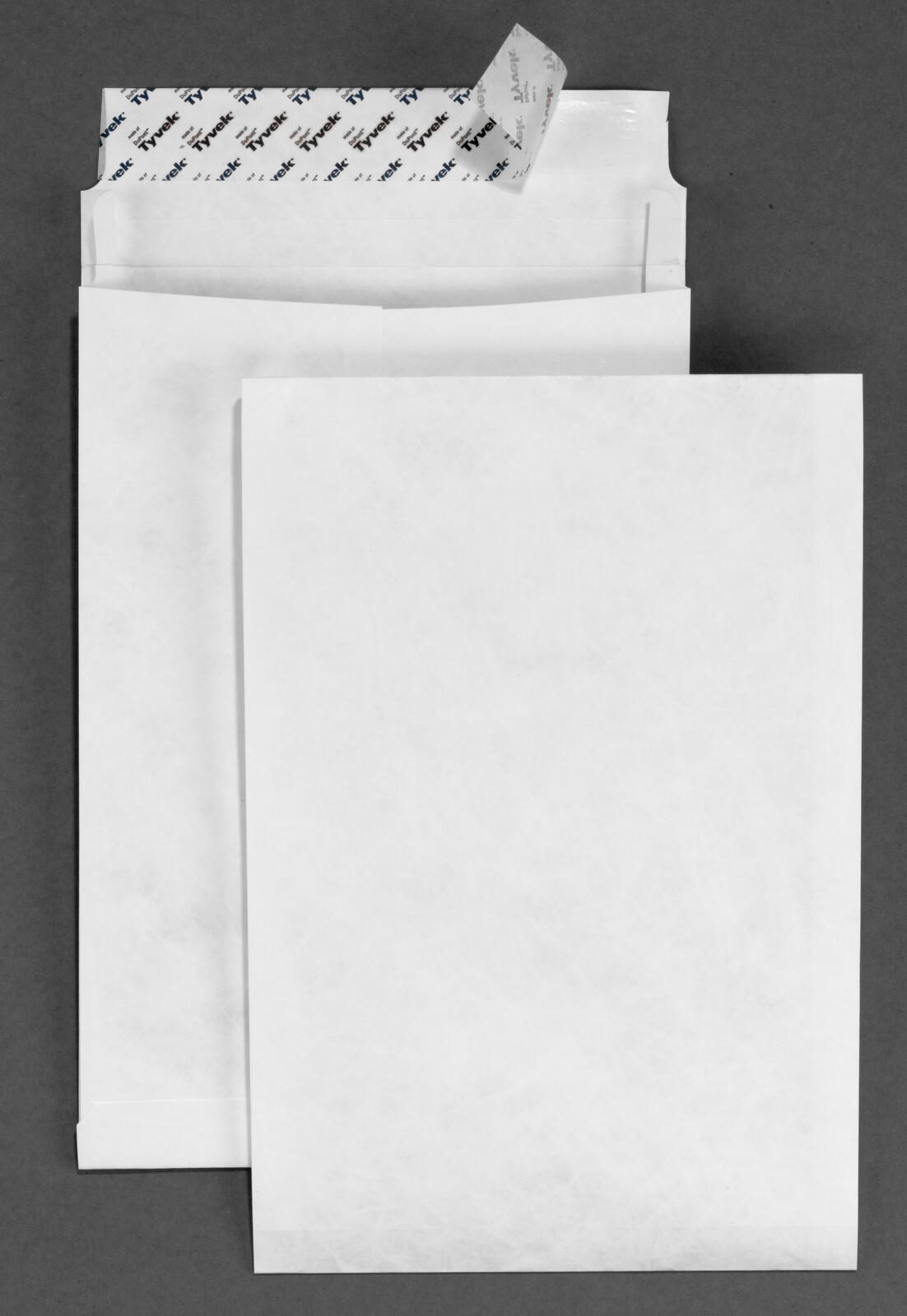 BONG Tyvek® Expander Faltentaschen DIN B4 weiß 00011843
