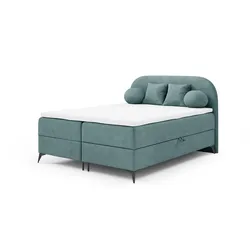 BOXBETT Gorgia