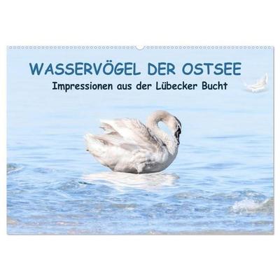 Wasservögel der Ostsee - Impressionen aus der Lübecker Bucht (Wandkalender 2027 DIN A2 quer), CALVENDO Monatskalender
