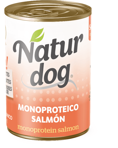 Naturdog Monoproteico Salmão 6 uds x 400g