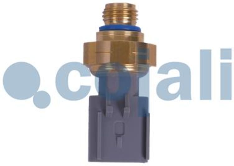 Cojali Sensore del vuoto 2262035COJ