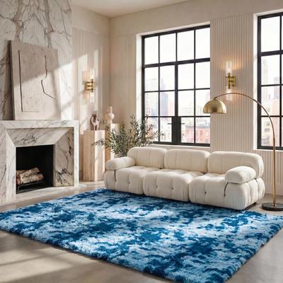 SAFAVIEH Rainbow Shag George Shag Rug