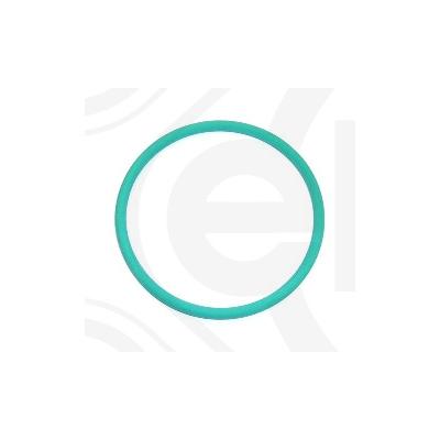 ELRING Dichtring 691740 für Iveco