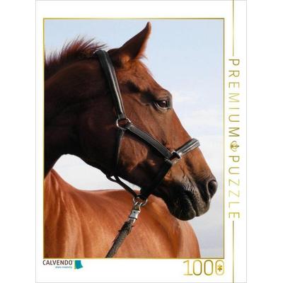 CALVENDO Puzzle Springpferd | 1000 Teile Lege-Größe 64x48cm Foto-Puzzle für glückliche Stunden