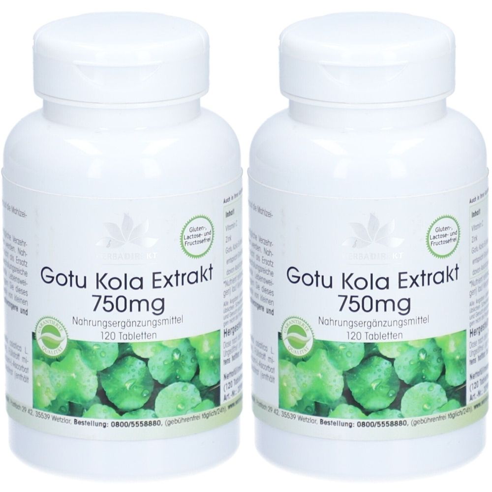 Gotu Kola Extrakt 750 mg Tabletten 2x 2x120 St