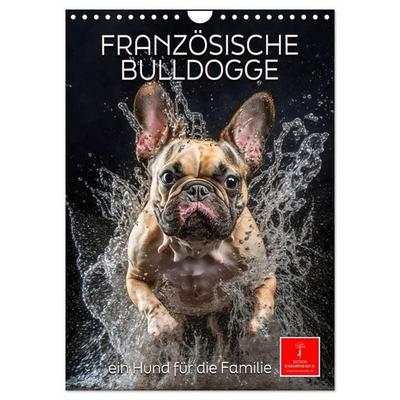 Französische Bulldogge - ein Hund für die Familie (Wandkalender 2026 DIN A4 hoch), CALVENDO Monatskalender