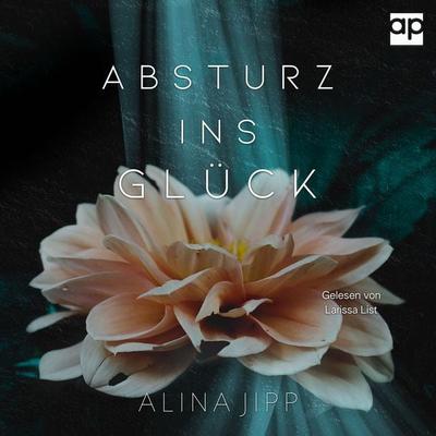 Absturz ins Glück - Alina Jipp, Audio, 9783987477126