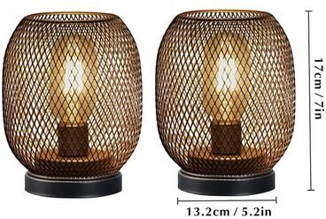 Inspired Finds Vintage Metal Cage LED Table Lamp Set Cordless Battery Powered Lantern Decor new Mini New Fake Potted Flowe