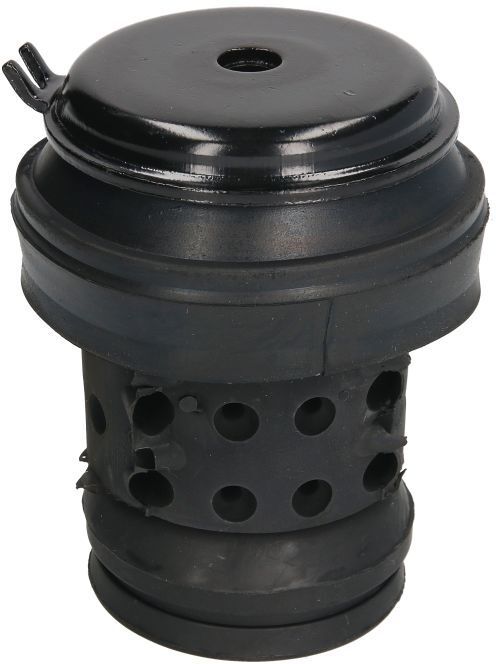 Reinhoch Supporto motore RH11-0014
