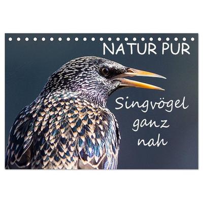 NATUR PUR - Singvögel ganz nah (Tischkalender 2026 DIN A5 quer), CALVENDO Monatskalender