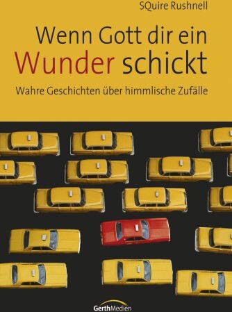 Wenn Gott dir ein Wunder schickt Wahre Geschichten über himmlische Zufälle - Preis vom 10.10.2026 11:48:34 h
