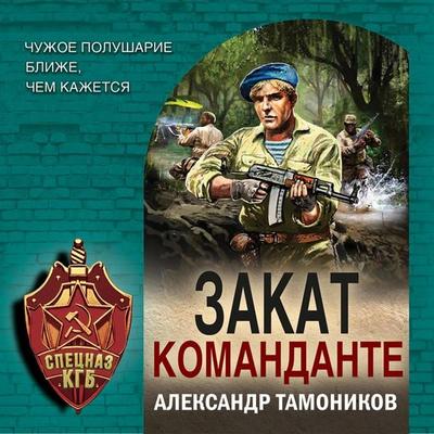 Zakat komandante - Aleksandr Tamonikov, Audio, 9785041766030