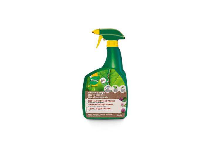 Maag Schildlaus-Stopp Spray 800 ml
