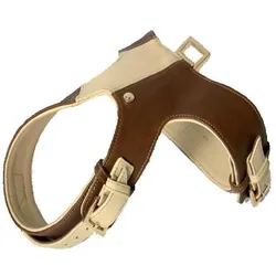 Arka Hundegeschirr (Hund, Spazieren), Halsband + Leine