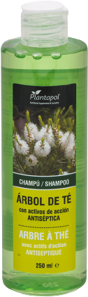 PlantaPol Teebaum-Shampoo mit antiseptischen Wirkstoffen 250 ml