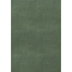 KURZFLORTEPPICH Antirutsch Geometrisch DALAR Polypropylen Waldgrün 120 x 160 cm