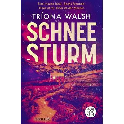 Schneesturm, Taschenbuch von Tríona Walsh, Fischer Taschenbuch Verlag